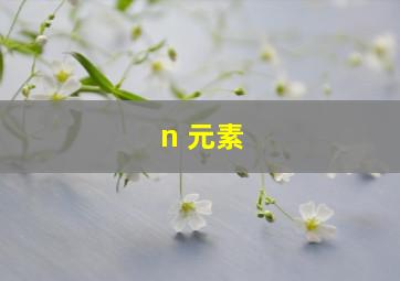 n 元素